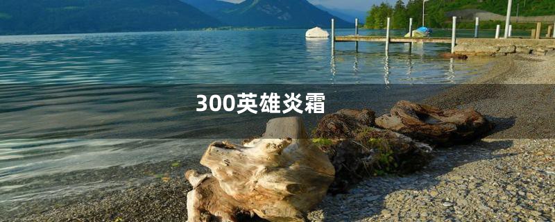 300英雄炎霜