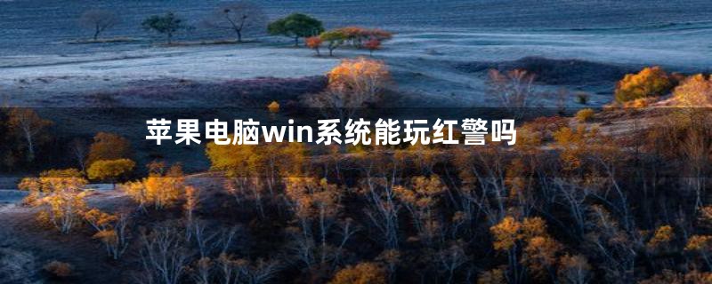 苹果电脑win系统能玩红警吗