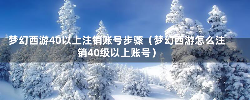 梦幻西游40以上注销账号步骤（梦幻西游怎么注销40级以上账号）