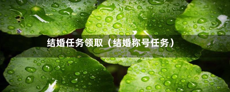 结婚任务领取（结婚称号任务）