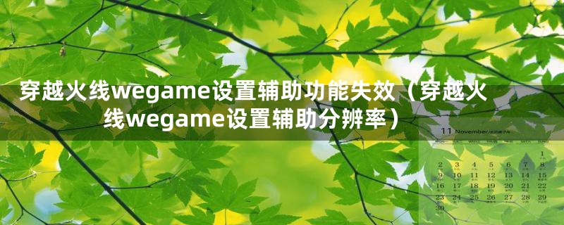 穿越火线wegame设置辅助功能失效（穿越火线wegame设置辅助分辨率）