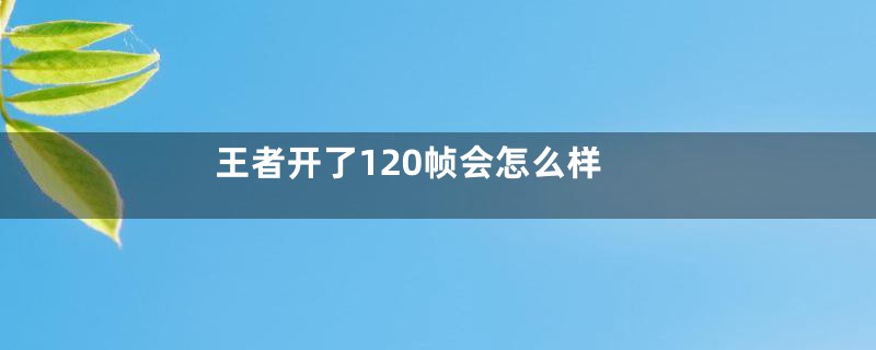 王者开了120帧会怎么样