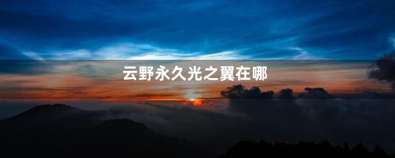 云野永久光之翼在哪