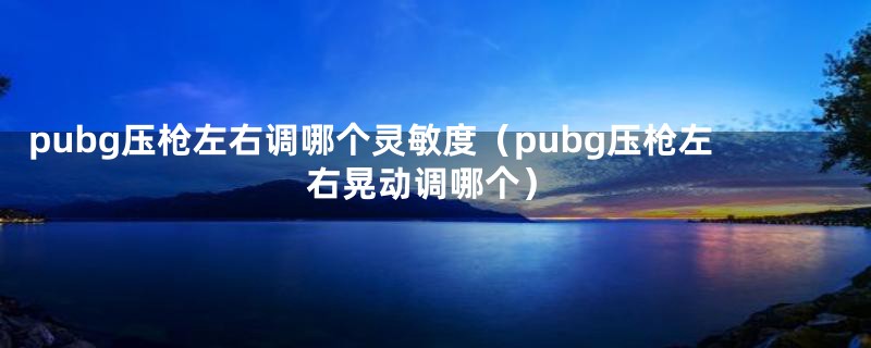 pubg压枪左右调哪个灵敏度（pubg压枪左右晃动调哪个）