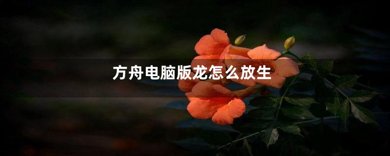 方舟电脑版龙怎么放生