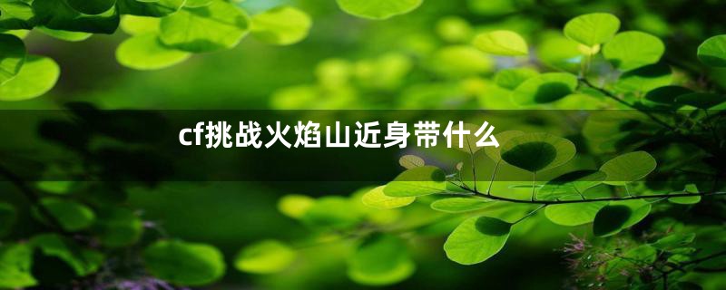 cf挑战火焰山近身带什么