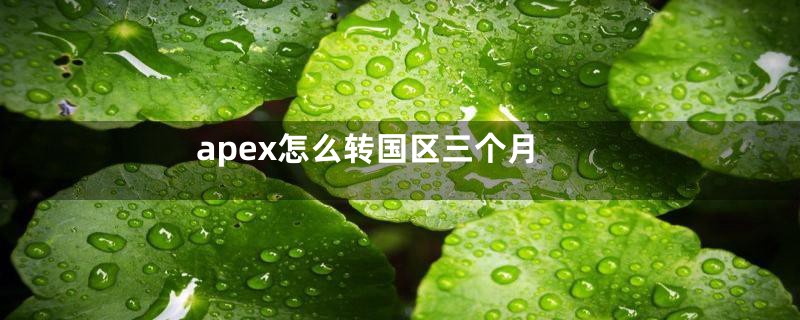 apex怎么转国区三个月