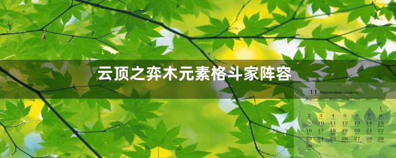 云顶之弈木元素格斗家阵容