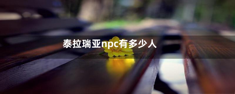 泰拉瑞亚npc有多少人