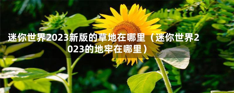 迷你世界2023新版的草地在哪里（迷你世界2023的地牢在哪里）