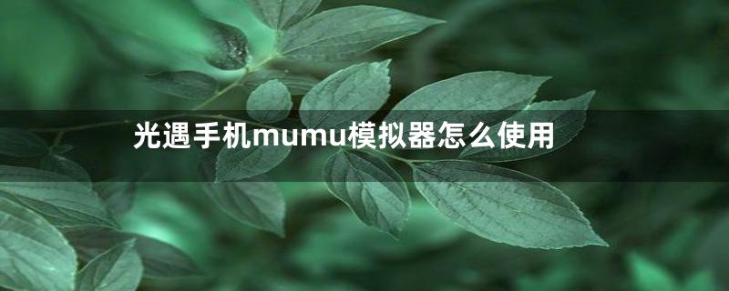 光遇手机mumu模拟器怎么使用