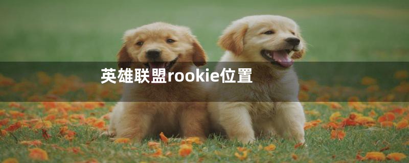 英雄联盟rookie位置