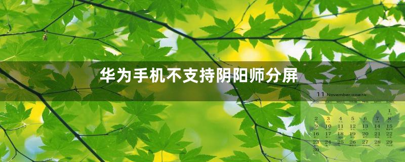 华为手机不支持阴阳师分屏