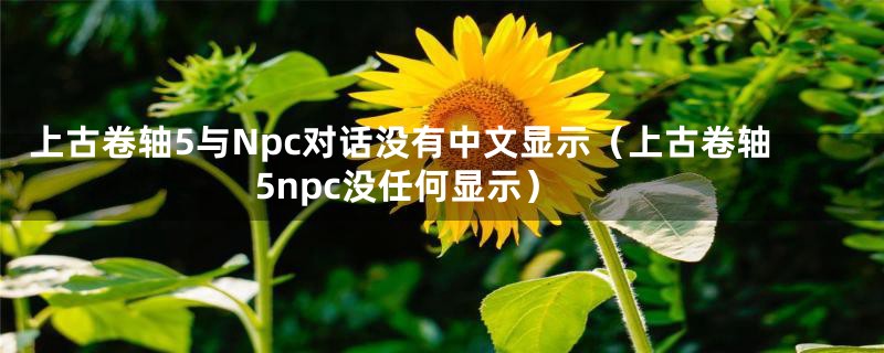 上古卷轴5与Npc对话没有中文显示（上古卷轴5npc没任何显示）