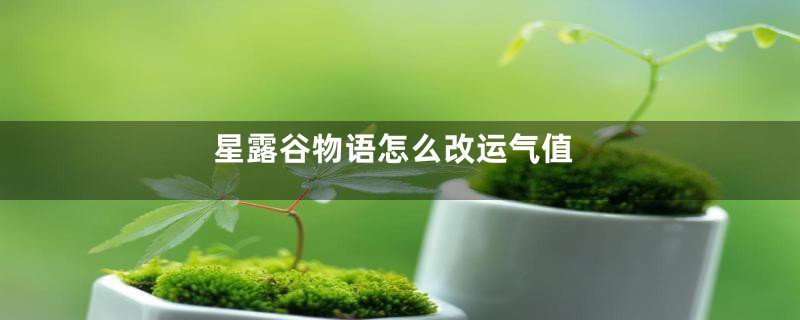 星露谷物语怎么改运气值