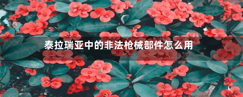 泰拉瑞亚中的非法枪械部件怎么用