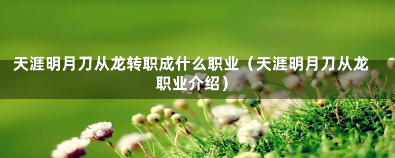 天涯明月刀从龙转职成什么职业（天涯明月刀从龙职业介绍）