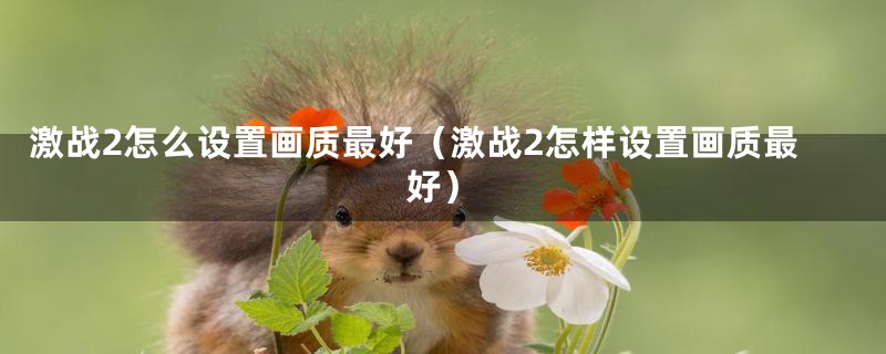 激战2怎么设置画质最好（激战2怎样设置画质最好）