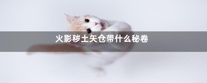 火影秽土矢仓带什么秘卷