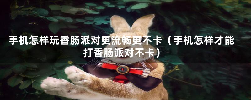 手机怎样玩香肠派对更流畅更不卡（手机怎样才能打香肠派对不卡）