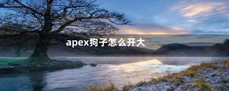 apex狗子怎么开大