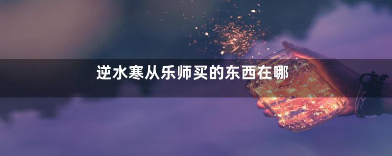 逆水寒从乐师买的东西在哪