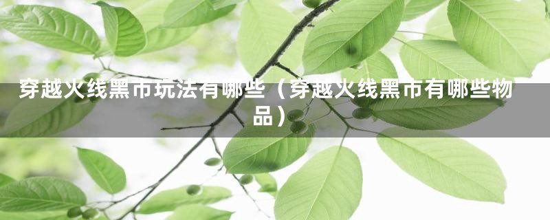 穿越火线黑市玩法有哪些（穿越火线黑市有哪些物品）