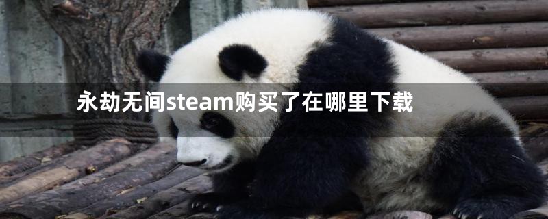 永劫无间steam购买了在哪里下载