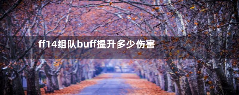 ff14组队buff提升多少伤害