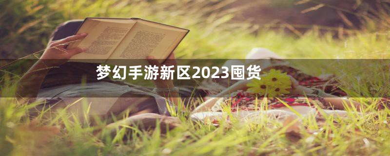 梦幻手游新区2023囤货