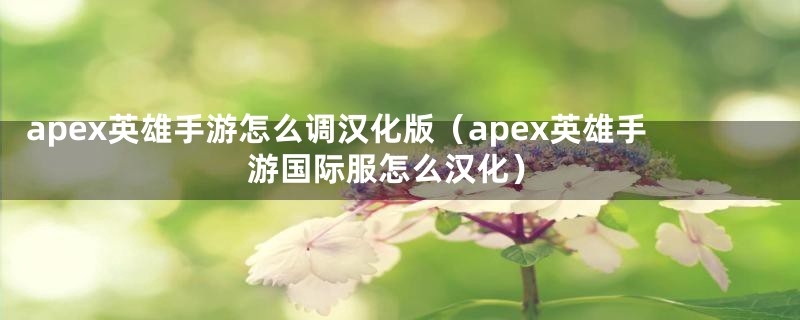 apex英雄手游怎么调汉化版（apex英雄手游国际服怎么汉化）