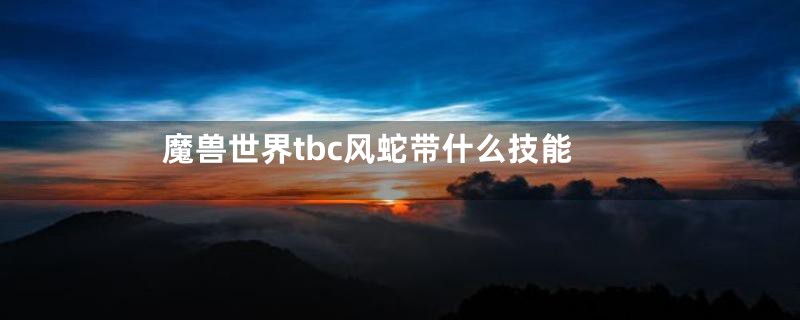 魔兽世界tbc风蛇带什么技能