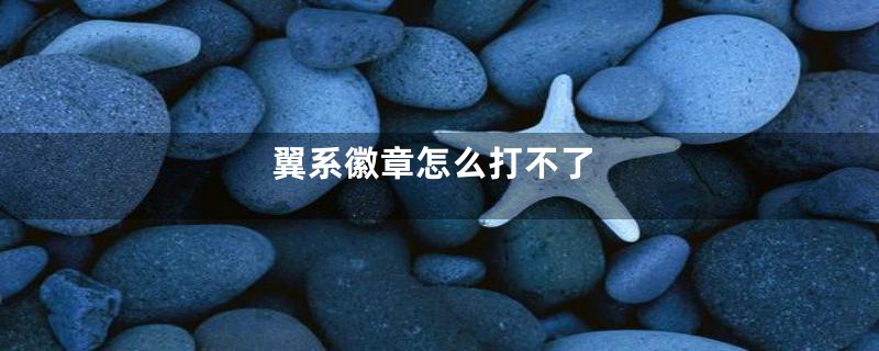 翼系徽章怎么打不了