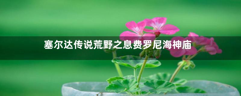 塞尔达传说荒野之息费罗尼海神庙