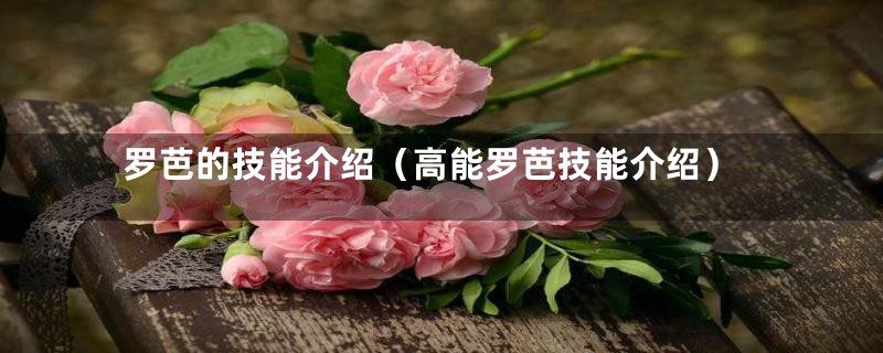 罗芭的技能介绍（高能罗芭技能介绍）