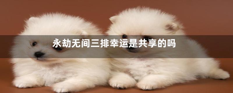 永劫无间三排幸运是共享的吗