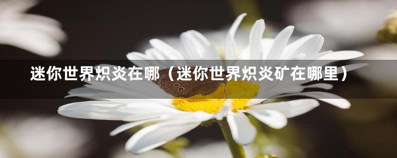 迷你世界炽炎在哪（迷你世界炽炎矿在哪里）