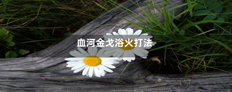 血河金戈浴火打法