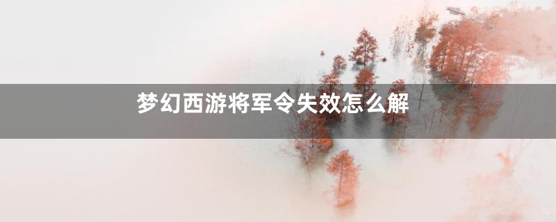 梦幻西游将军令失效怎么解