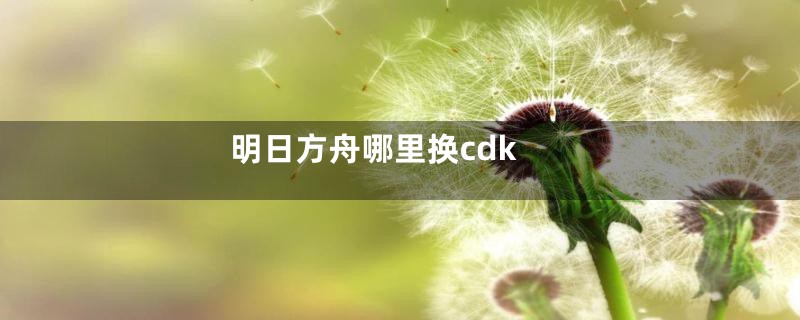 明日方舟哪里换cdk