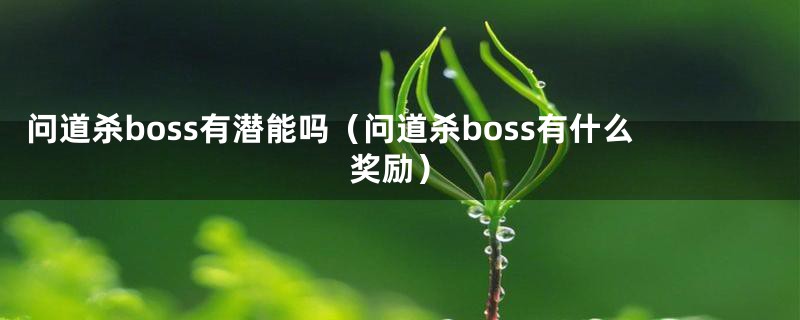 问道杀boss有潜能吗（问道杀boss有什么奖励）