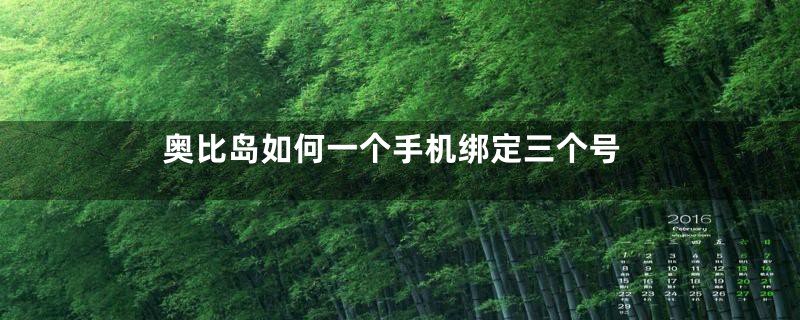 奥比岛如何一个手机绑定三个号