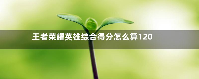 王者荣耀英雄综合得分怎么算120