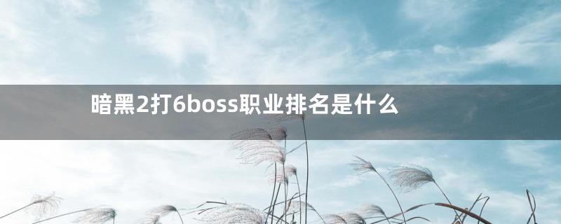 暗黑2打6boss职业排名是什么