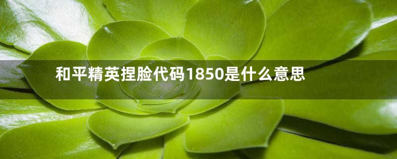 和平精英捏脸代码1850是什么意思