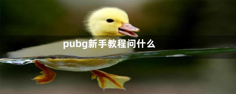 pubg新手教程问什么