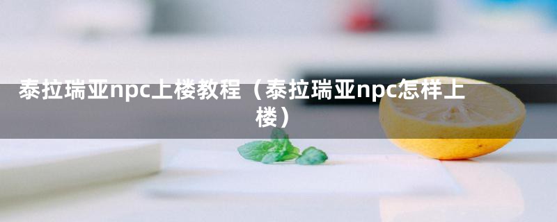 泰拉瑞亚npc上楼教程（泰拉瑞亚npc怎样上楼）