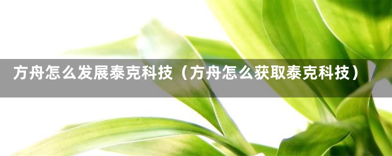 方舟怎么发展泰克科技（方舟怎么获取泰克科技）