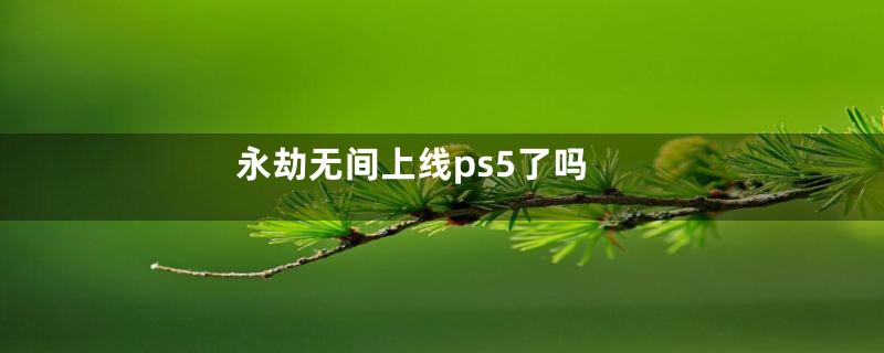 永劫无间上线ps5了吗