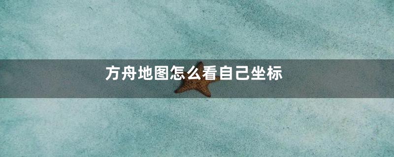 方舟地图怎么看自己坐标